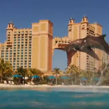 The Reef Atlantis Video